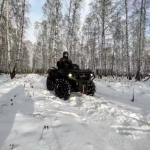 лесные прогулки на квадроциклах